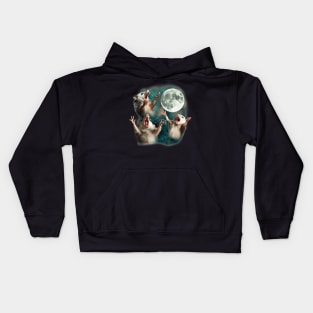 Three Possum Moon  3 Opossum Weird Cursed Meme Kids Hoodie